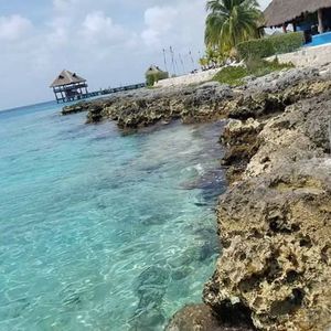 Meet your Posher, Kaeden